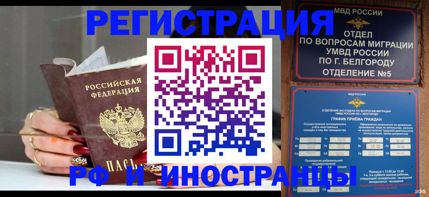 прописка в Жердевке